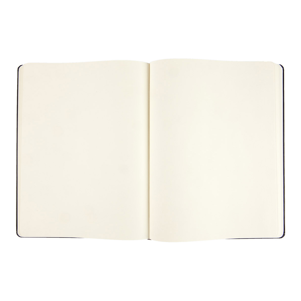 Moleskine Classic X-Large Notebook Hard Cover Plain